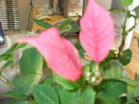 2008年08月27日