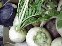どんな料理になるかな？