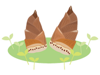 今が旬　筍