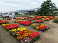 花のまち、詫間！