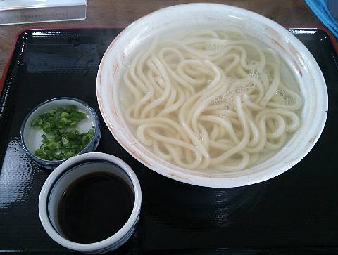 今日のうどん　金曜日　その①　「麦のへそ」