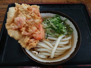今日のうどん火曜日　「一屋」