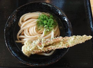 今日のうどん水曜日　「こだわり麺や フジグラン丸亀店」