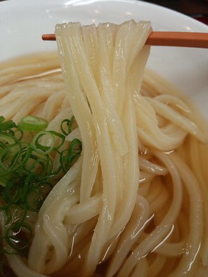 今日のうどん水曜日　「山とも」