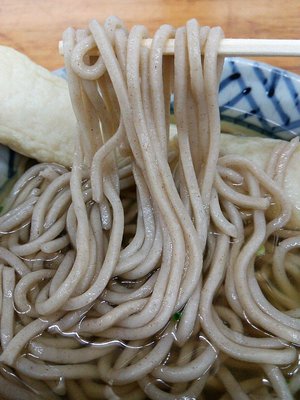 今日の日本そば木曜日　「さか枝　本店」