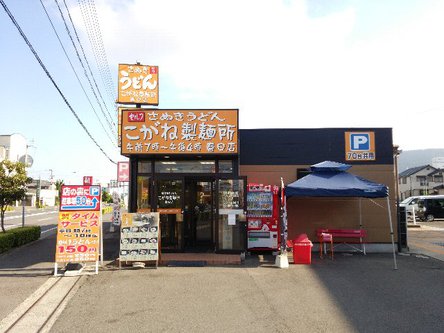 今日のうどん日曜日　その①　「こがね製麺所　春日店」