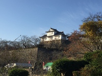 津山城の石垣