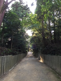 日本建築に使用される木材の時代変化