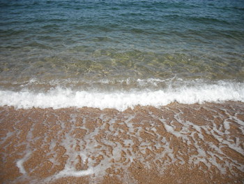 秋の海岸へ