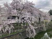 仏生山公園へ！