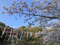 明神川砂防公園