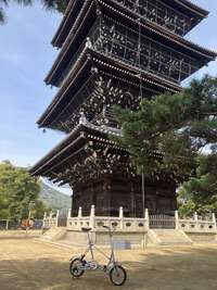 善通寺七か寺の花手水