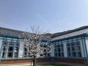 桜を巡る旅　②