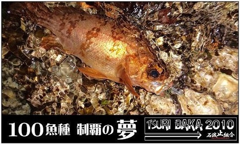 100魚種制覇の夢