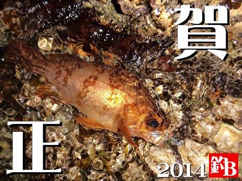 賀正2014年