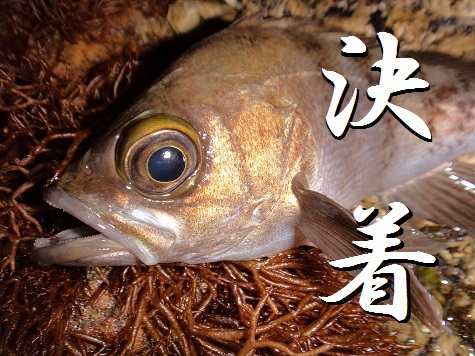 決着
