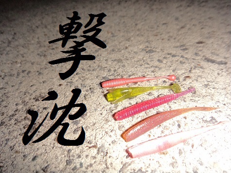撃沈釣行
