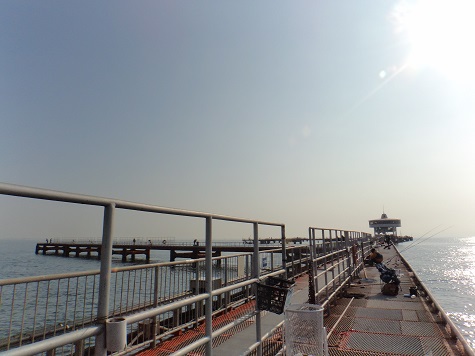 須磨海釣り公園