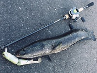 nice hooking
