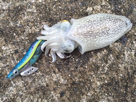 ヤケになっちゃう