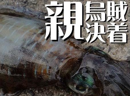 親烏賊長期戦決着