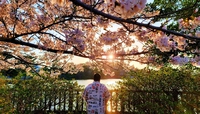 Always On My Mind Japan
