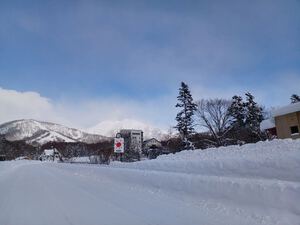 Niseko Ski Resort