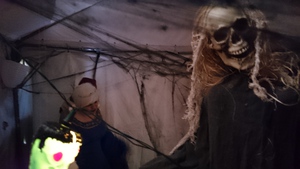 Fun at Halloween