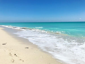 Florida Beaches