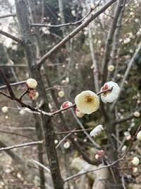 Spring Is Around the Corner