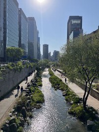 A Stroll in Seoul