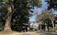 A Peaceful Visit to my Local Shrine