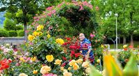 Roses for You and Me