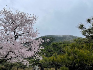 Ritsurin Garden