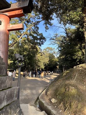 Kyoto and Nara