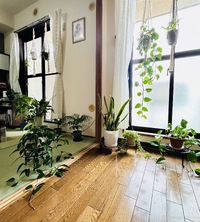 背番号「60」の朝