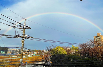 雨上がりにくっきり虹