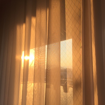 酸いも甘いも噛み分けて