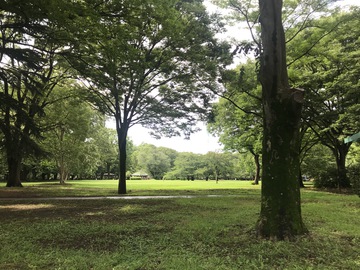 それでも撮ってしまう