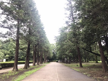 それでも撮ってしまう