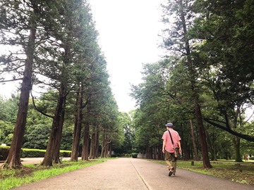 それでも撮ってしまう