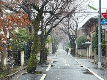 まさかの雪・・・