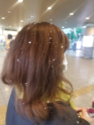 まさかの雪・・・