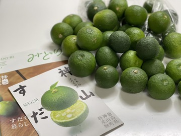 津軽びいどろと神山すだちの夜