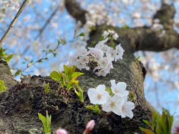 贅沢な時間のおすそ分け～♪