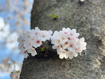 贅沢な時間のおすそ分け～♪