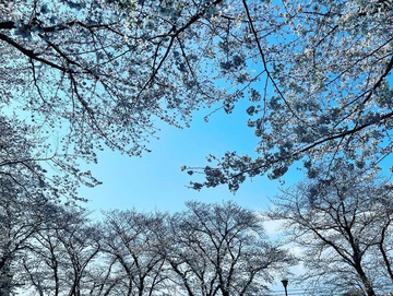 贅沢な時間のおすそ分け～♪