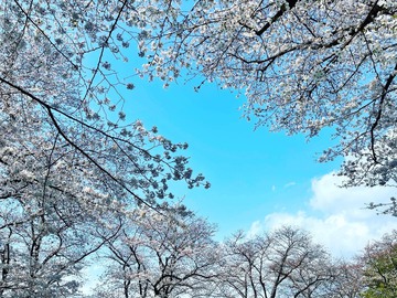 贅沢な時間のおすそ分け～♪