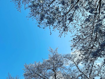 贅沢な時間のおすそ分け～♪