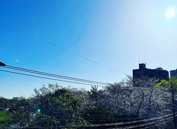 土砂降りとスッキリ朝陽